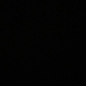 Meet your Posher, Gracie